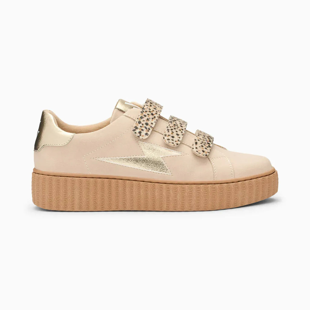 Baskets ABY